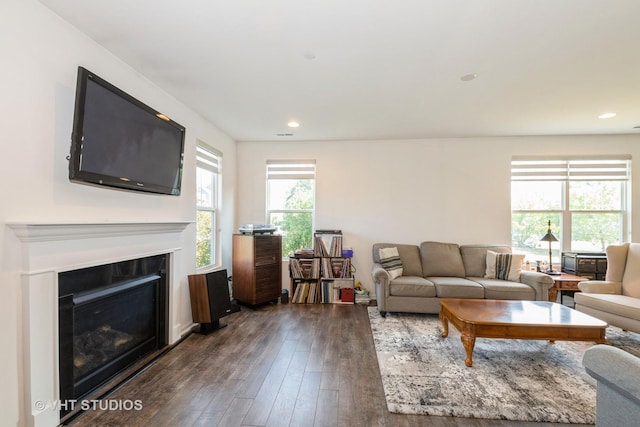 16212 W Switch Grass Rd, Lockport, IL 60441 - living room featuring dark wood-style floors, a glass covered fireplace, and recessed lighting