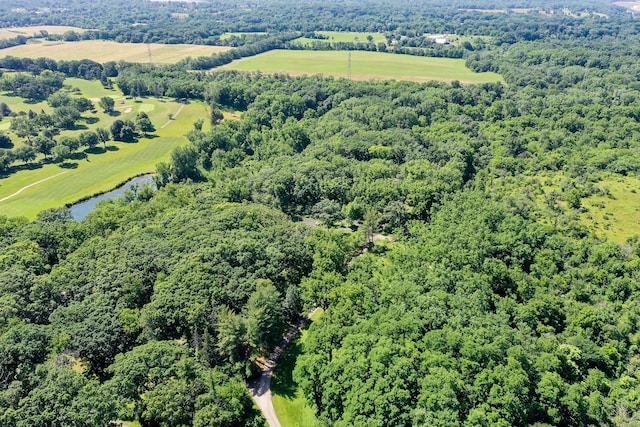 17365 W 135th St, Lockport, IL 60441 - bird's eye view of a nearby body of water and a forest