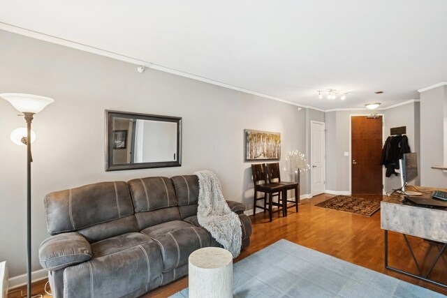 420 E Waterside Dr Unit 1302, Chicago, IL 60601 - living room with ornamental molding and wood finished floors