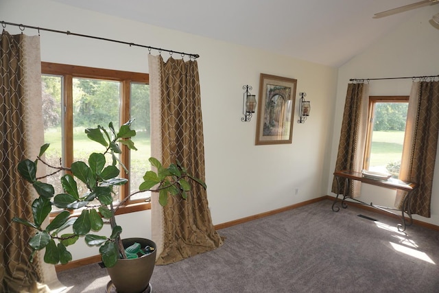 4914 W State Route 113, Kankakee, IL 60901 - carpeted empty room with lofted ceiling and a ceiling fan