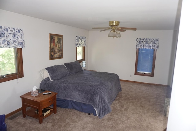 4914 W State Route 113, Kankakee, IL 60901 - bedroom with carpet and ceiling fan