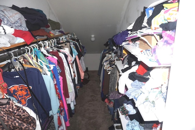 4914 W State Route 113, Kankakee, IL 60901 - spacious closet featuring carpet floors