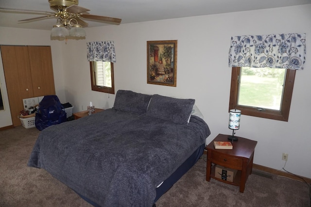 4914 W State Route 113, Kankakee, IL 60901 - carpeted bedroom with a ceiling fan and a closet