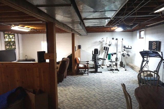 4914 W State Route 113, Kankakee, IL 60901 - workout area with carpet flooring