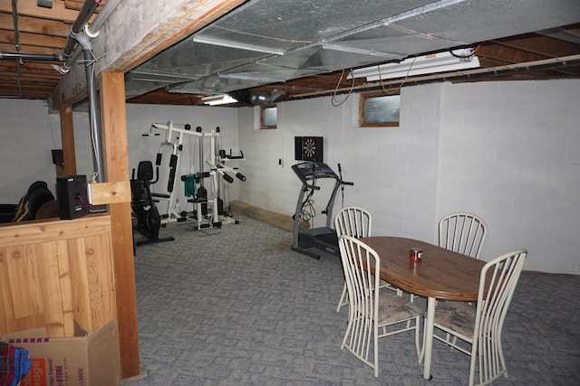 4914 W State Route 113, Kankakee, IL 60901 - workout area with carpet flooring and concrete block wall