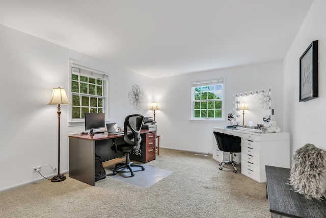 2310 Malik Ct, Glenview, IL 60025 - view of carpeted office