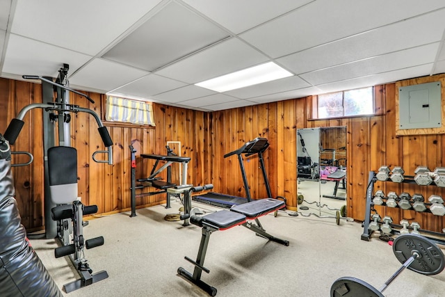 308 Dalton Ave, Mundelein, IL 60060 - workout room featuring electric panel, wood walls, plenty of natural light, carpet floors, and a drop ceiling