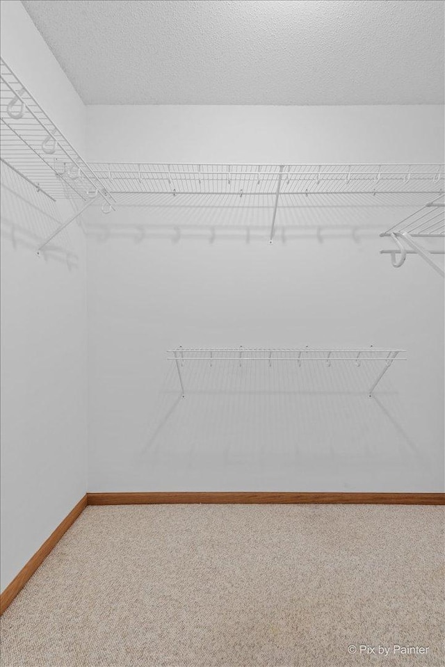 31-58 Wakonda Dr, Lake Carroll, IL 61046 - spacious closet featuring carpet floors