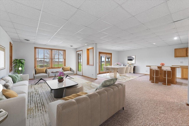 31-58 Wakonda Dr, Lake Carroll, IL 61046 - living area featuring light carpet, a paneled ceiling, and plenty of natural light
