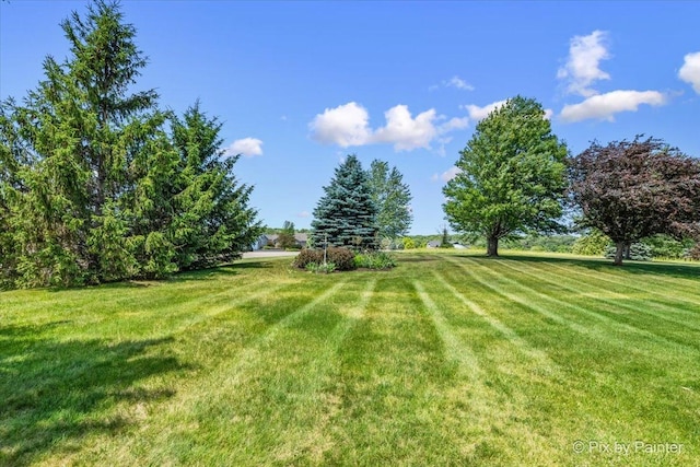 31-58 Wakonda Dr, Lake Carroll, IL 61046 - view of grassy yard