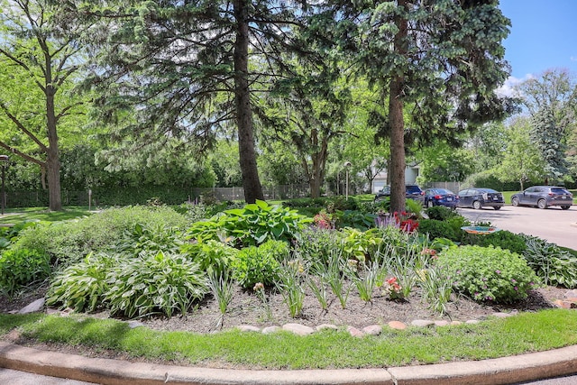 601 Lake Hinsdale Dr Unit 209, Willowbrook, IL 60527 - view of yard