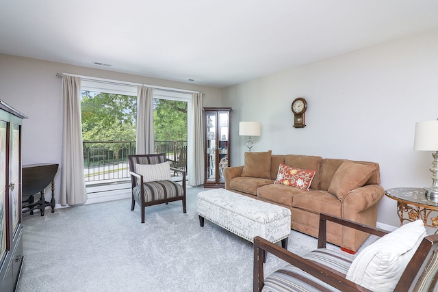 601 Lake Hinsdale Dr Unit 209, Willowbrook, IL 60527 - living area with carpet floors