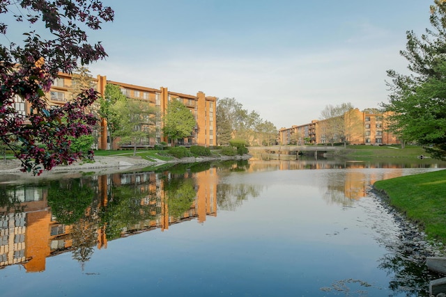601 Lake Hinsdale Dr Unit 209, Willowbrook, IL 60527 - water view