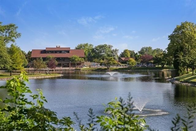 601 Lake Hinsdale Dr Unit 209, Willowbrook, IL 60527 - water view
