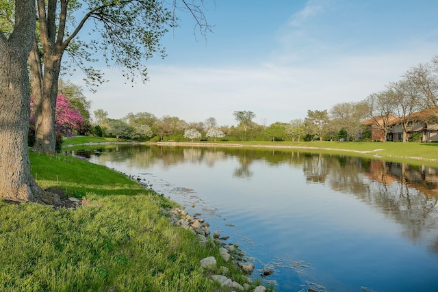601 Lake Hinsdale Dr Unit 209, Willowbrook, IL 60527 - water view