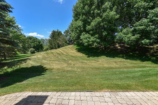 1002 Ridgeview Dr, Inverness, IL 60010 - photo 26