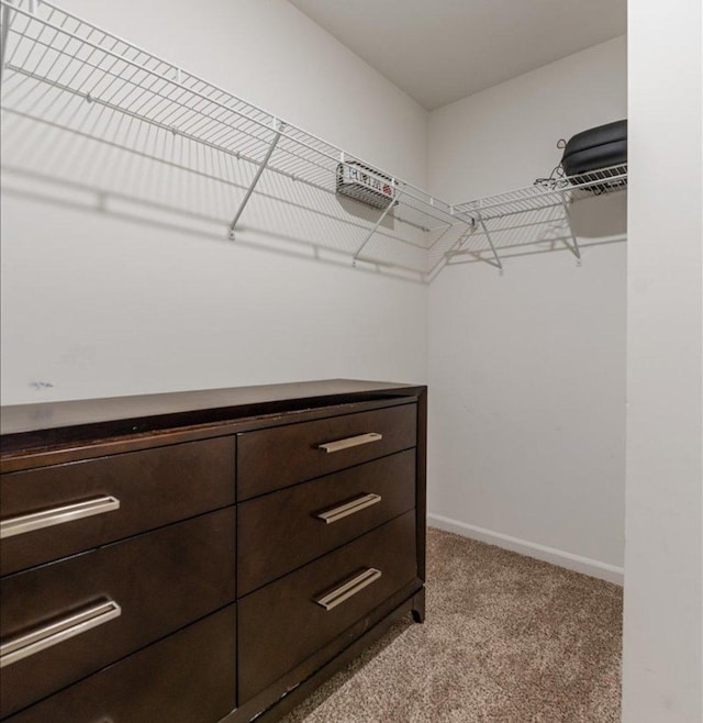 434 S Dollinger Dr, Romeoville, IL 60446 - photo 23
