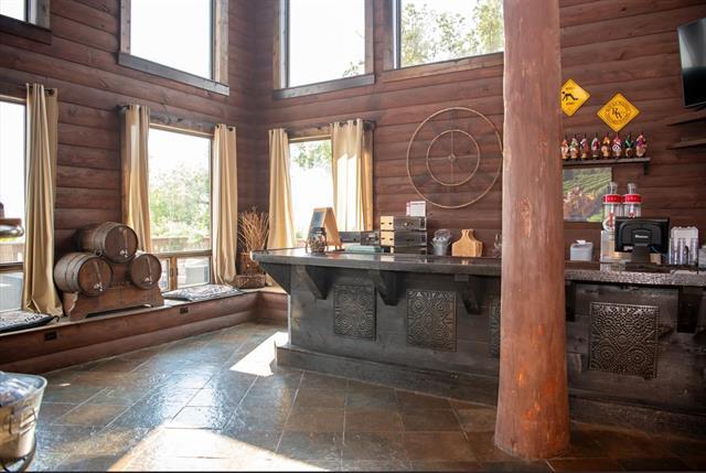 2003 W Hanover Rd, Hanover, IL 61041 - bar with a towering ceiling, log walls, stone tile flooring, and a wood stove