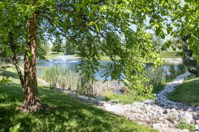 2054 Trafalger Ct, Romeoville, IL 60446 - water view