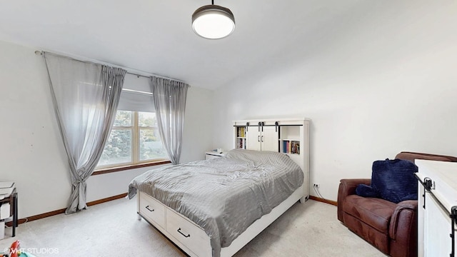 1389 Lily Cache Ln, Bolingbrook, IL 60490 - bedroom with light carpet