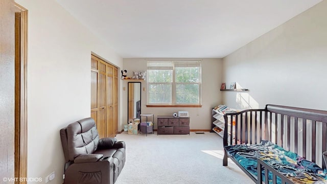 1389 Lily Cache Ln, Bolingbrook, IL 60490 - bedroom with light carpet and a closet