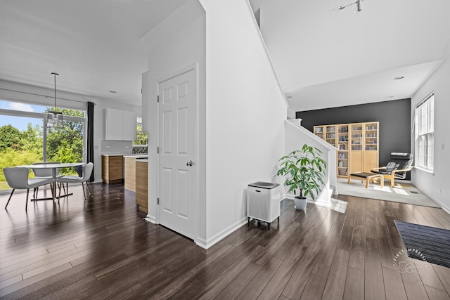 3462 Ayres Dr, Aurora, IL 60506 - hall featuring dark wood-type flooring, plenty of natural light, and stairs