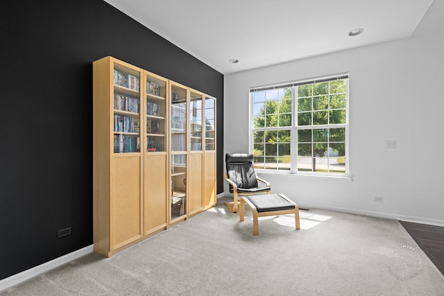 3462 Ayres Dr, Aurora, IL 60506 - sitting room featuring carpet and baseboards