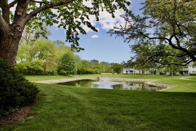 285 Ashland Ct Unit 1, Buffalo Grove, IL 60089 - view of green lawn featuring a water view