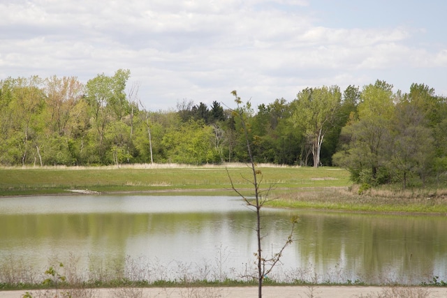 285 Ashland Ct Unit 1, Buffalo Grove, IL 60089 - water view with a forest