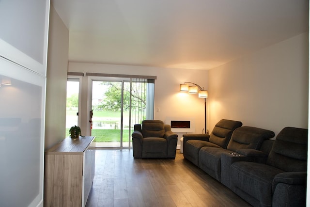 285 Ashland Ct Unit 1, Buffalo Grove, IL 60089 - living room with wood-type flooring
