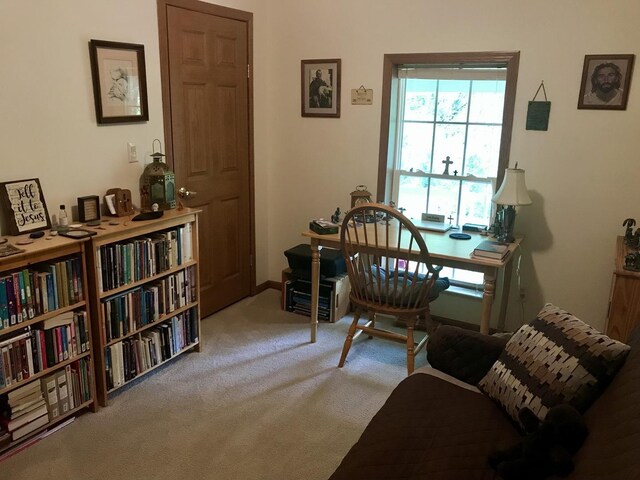 10 Senachwine Cir, Putnam, IL 61560 - photo 21