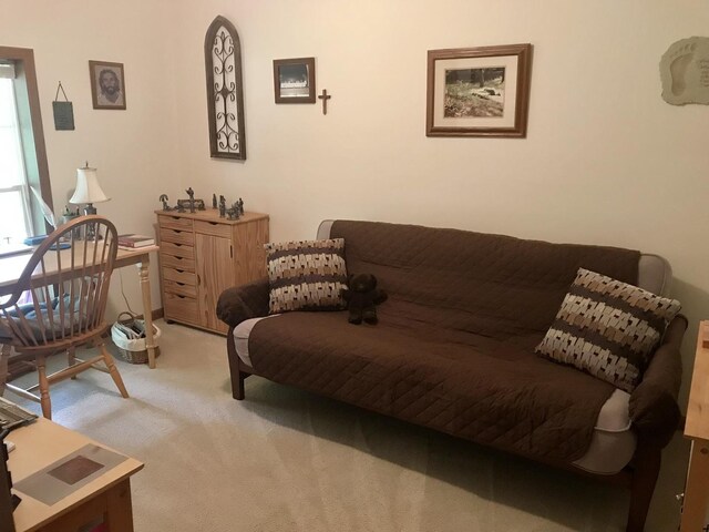 10 Senachwine Cir, Putnam, IL 61560 - photo 22