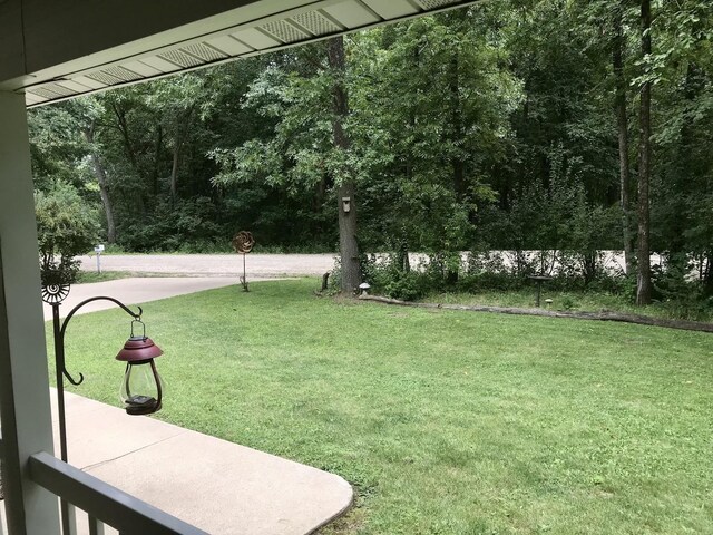 10 Senachwine Cir, Putnam, IL 61560 - photo 4