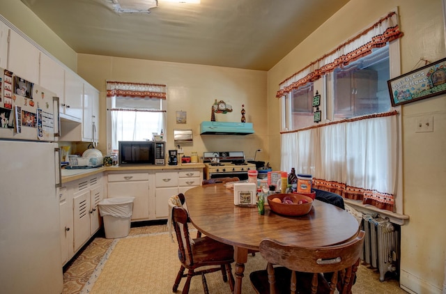 5145 S Troy St, Chicago, IL 60632 - view of dining room