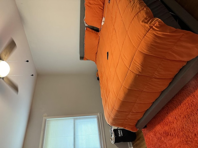 207 Dodge Ave, Danville, IL 61832 - view of bedroom