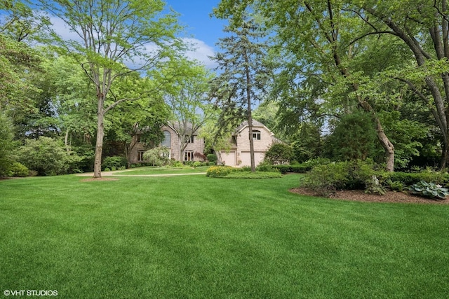 85 Ela Rd, Inverness, IL 60067 - view of green lawn