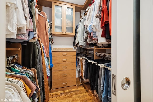 85 Ela Rd, Inverness, IL 60067 - spacious closet with light wood-style flooring