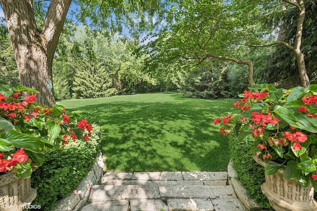 85 Ela Rd, Inverness, IL 60067 - view of grassy yard