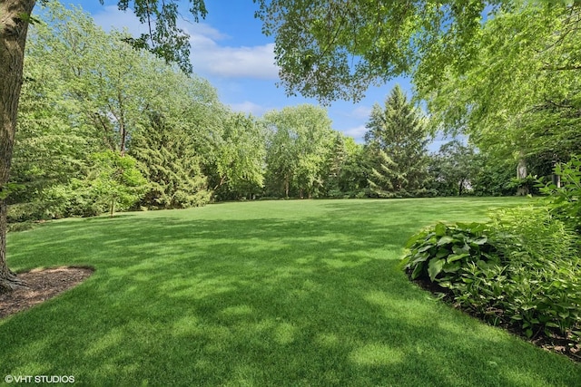 85 Ela Rd, Inverness, IL 60067 - view of grassy yard