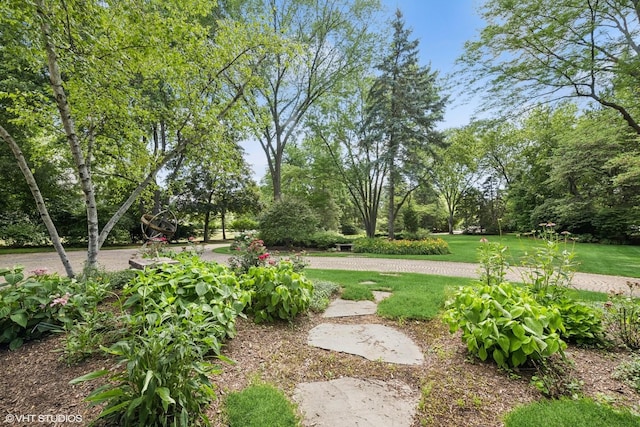 85 Ela Rd, Inverness, IL 60067 - view of green lawn with view of wooded area