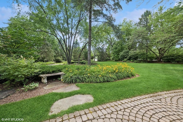 85 Ela Rd, Inverness, IL 60067 - view of grassy yard