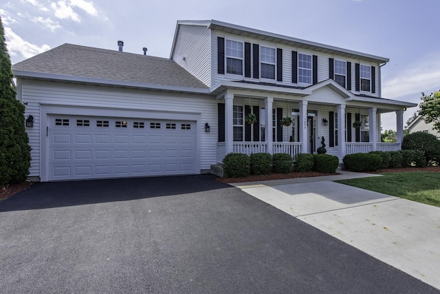 1650 Natures Way, Lindenhurst, IL 60046 - traditional-style home with asphalt driveway, a porch, and an attached garage