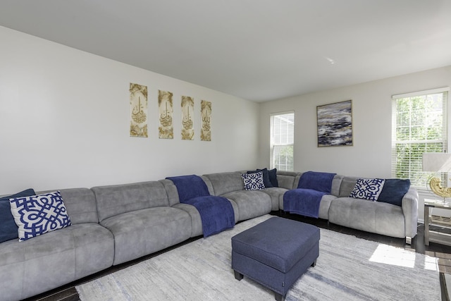 1650 Natures Way, Lindenhurst, IL 60046 - living room featuring plenty of natural light and wood finished floors