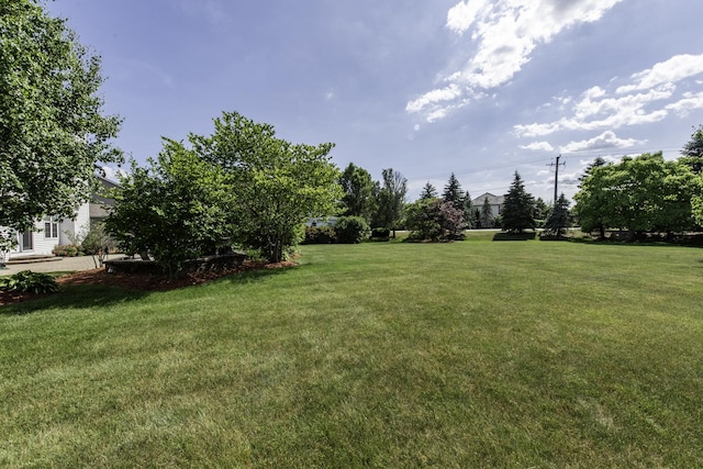 1650 Natures Way, Lindenhurst, IL 60046 - view of grassy yard