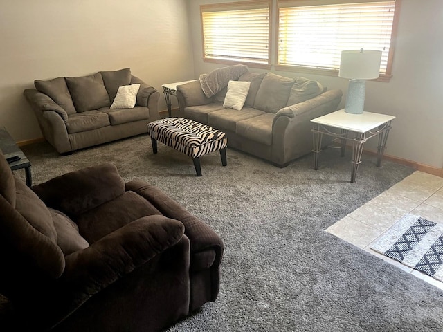 1620 S 5th Ave, Kankakee, IL 60901 - living room with carpet flooring
