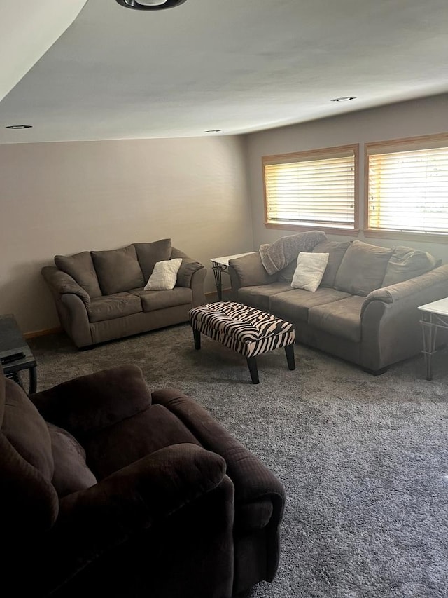 1620 S 5th Ave, Kankakee, IL 60901 - living area featuring carpet flooring