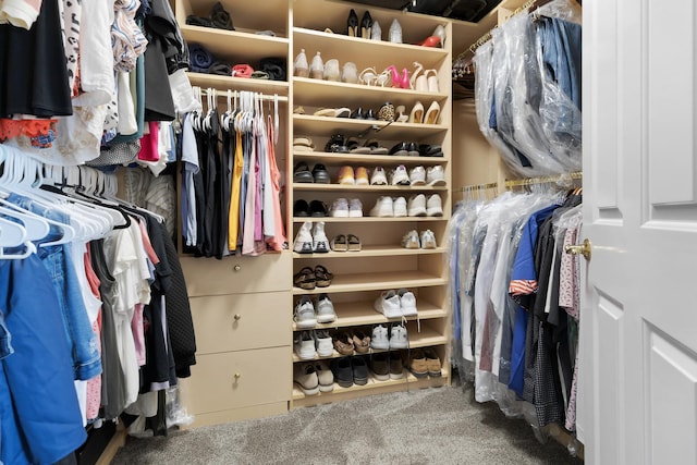 262 Hawk Hollow Dr, Bartlett, IL 60103 - spacious closet with carpet