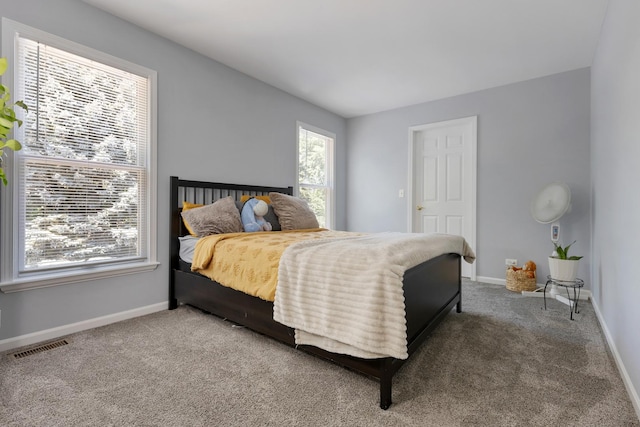 262 Hawk Hollow Dr, Bartlett, IL 60103 - bedroom featuring multiple windows and carpet floors