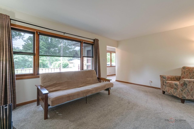36909 N Richard Ln, Lake Villa, IL 60046 - photo 5