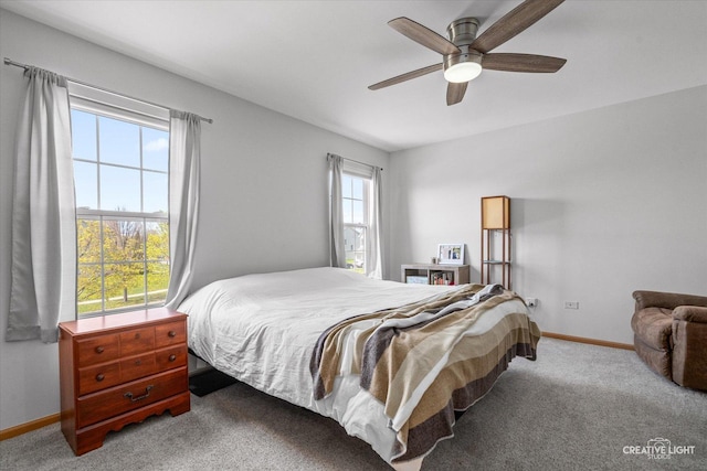 307 Gregory Ln, Plano, IL 60545 - bedroom with carpet floors and a ceiling fan